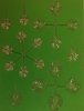 RT-Diorama 35614 Jungle Plant No.4 1/35